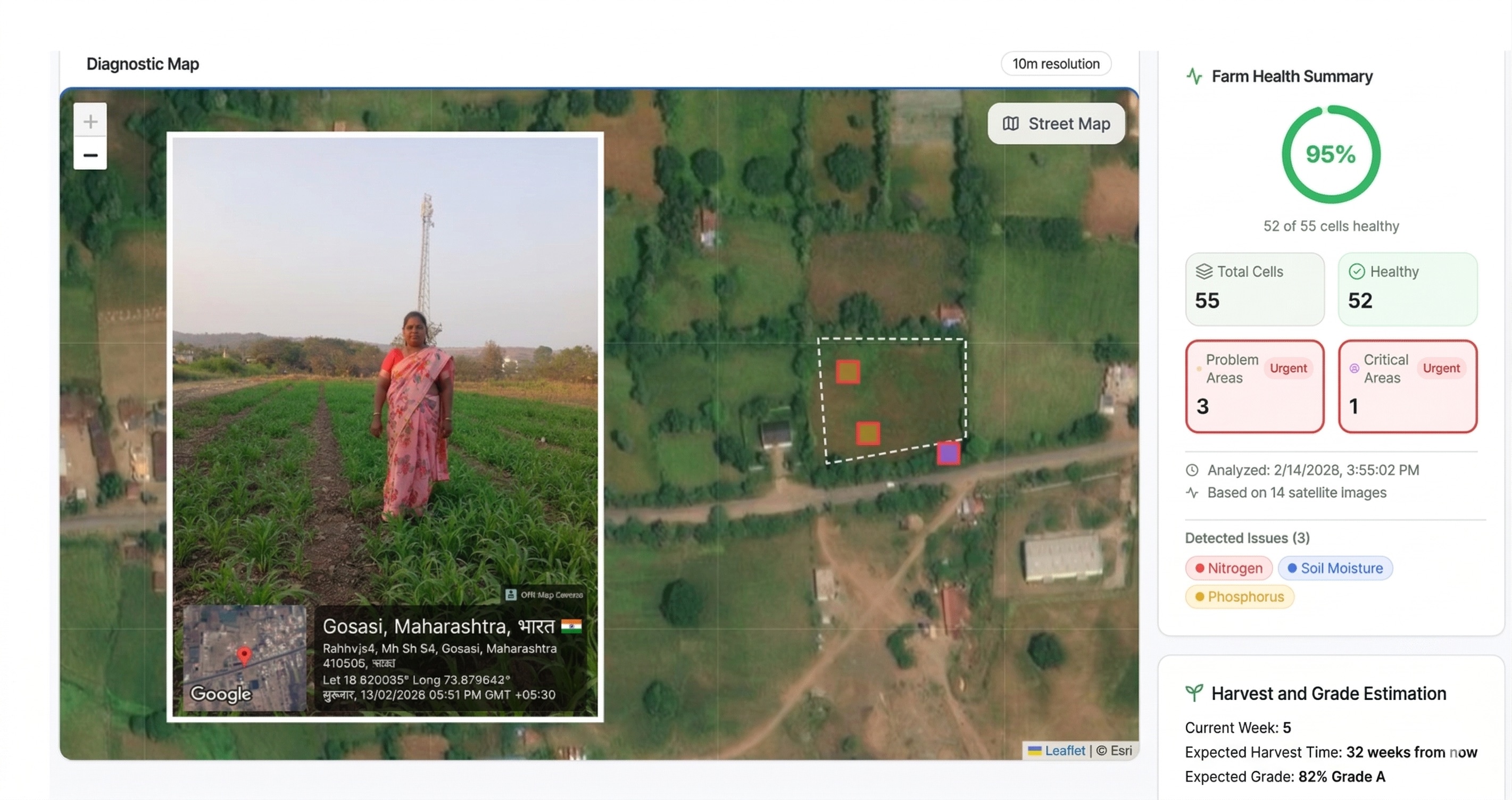 Rajni's farm diagnostic map with farm photo, satellite boundary, health summary, and harvest grade estimate